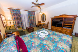 Disney's Saratoga Springs Resort and Spa